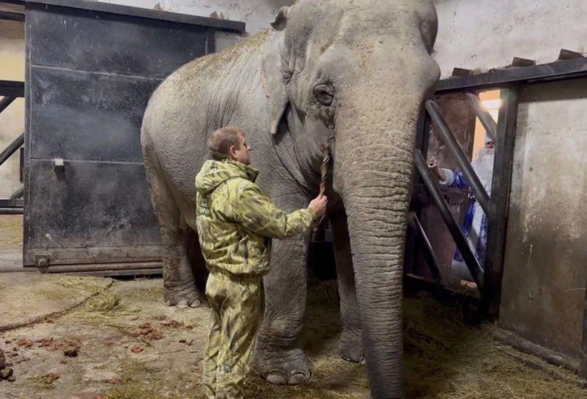 � �������� ������-����� �������� ������ �������-��������������� �����