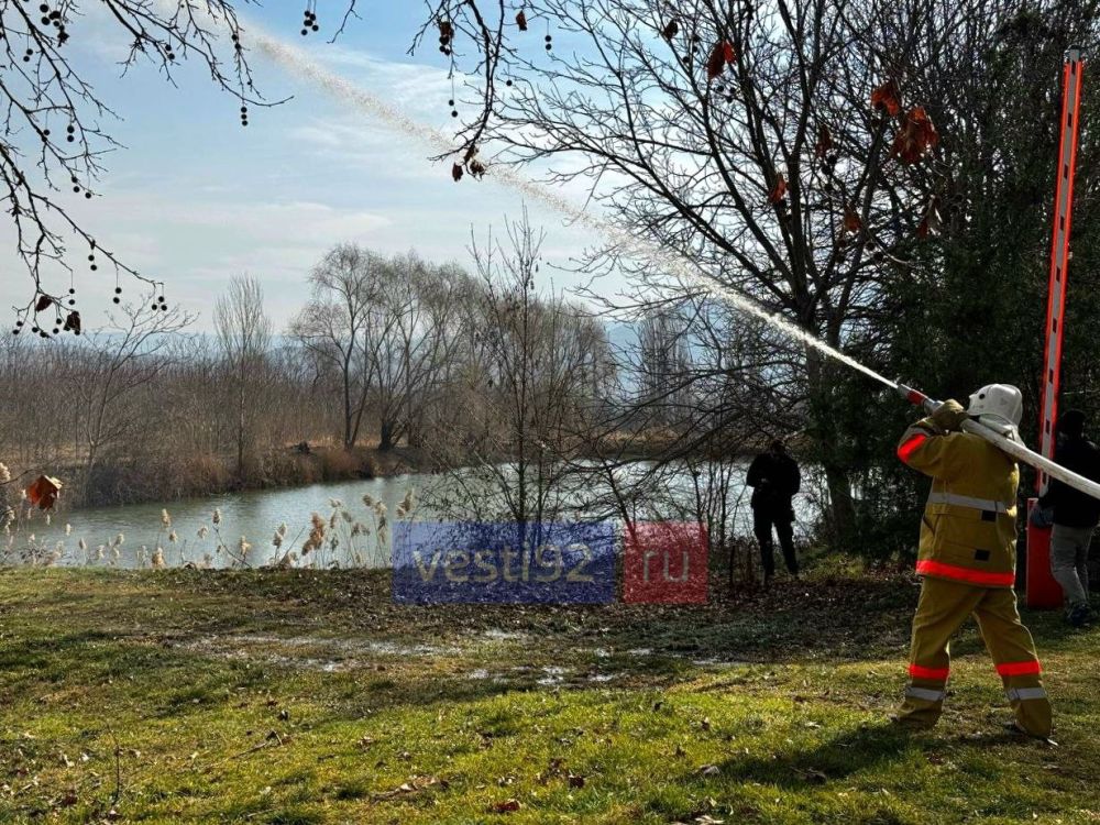 ���������� ������� ����������� ������ ���������� � �������������� ������ ����������� ��������� ������������, �������� ������� ������ � �������������� ��������� ����