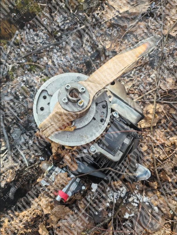 ������� ������ �� �������������, ������ � ���� ������� ������ ��� �� ���������� ����������