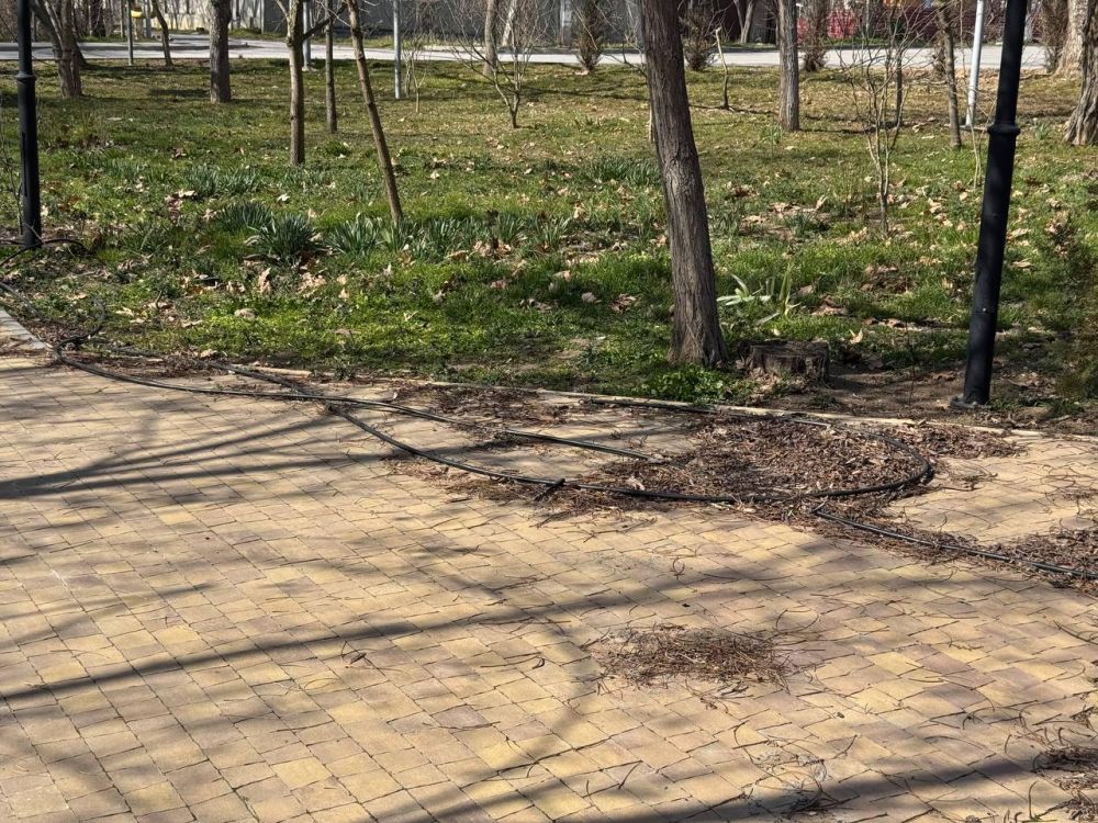 ������� �����: ������� ������� ����� � ��������� ������������� �����