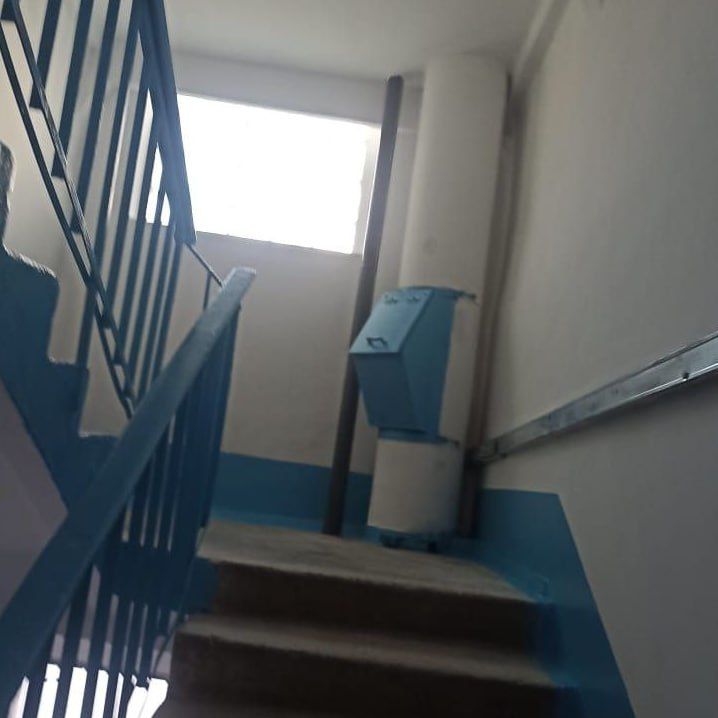 �������� ������ ������� �������� �� ����� ������ ������ �. 31