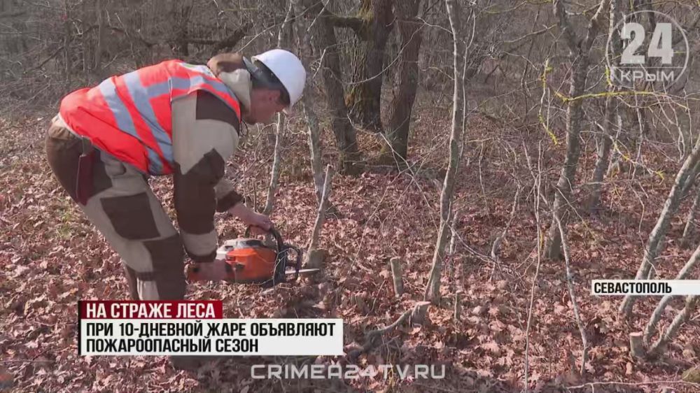 � ����������� ����� ������ ����� �������� ���������: ����� ��������� � ��������� ������ � �����