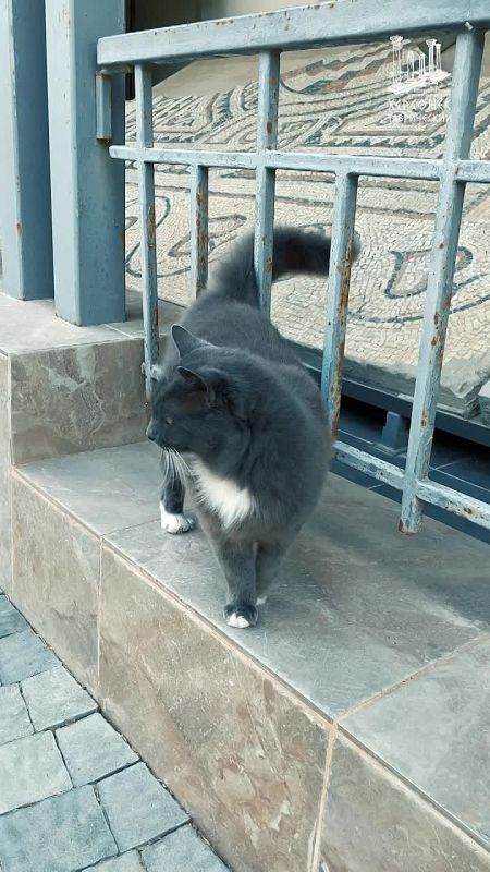 ����� �� ��������� � � ����!