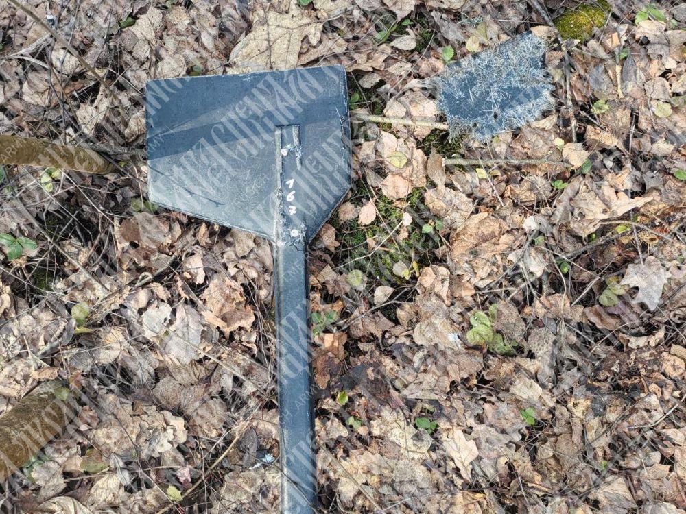 ������� ������ �� �������������, ������ � ���� ������� ������ ��� �� ���������� ����������