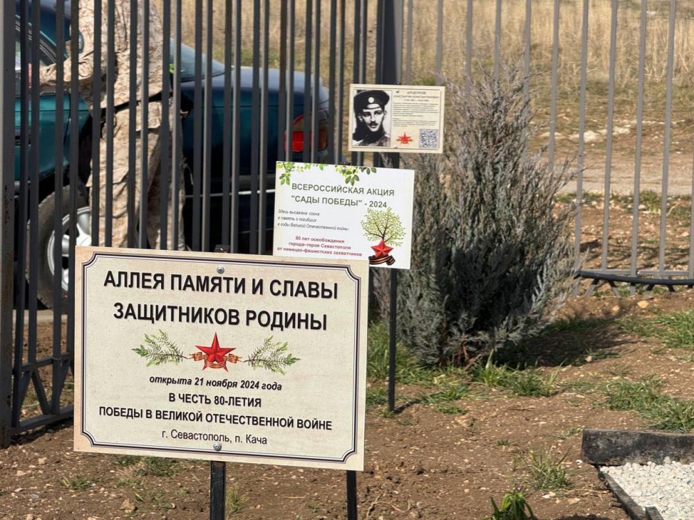 ������� �����: ����� ������ � ������ ��������� ������� ������������� �������� ����������� ���������� ������� ��� � 103 � ������, ������� ��� ������ � 2024 ����