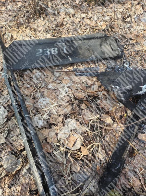 ������� ������ �� �������������, ������ � ���� ������� ������ ��� �� ���������� ����������