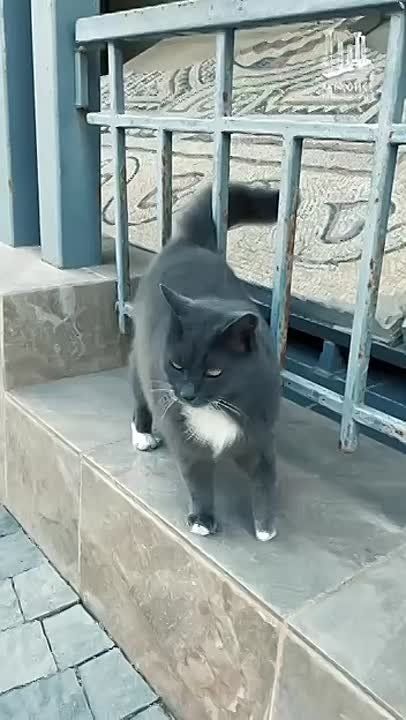 ����� ����� �� ��������� ��������� � �������� ���������� ��������� 2.0� �� ������������ �������� ������