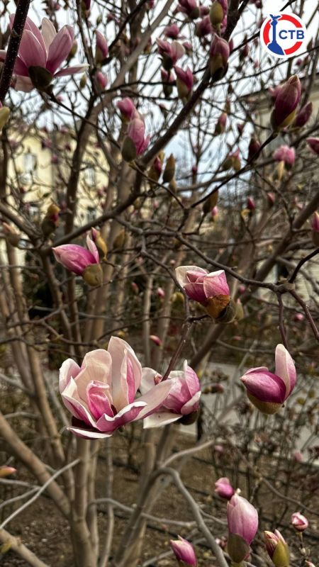 �� ����� ������� ������� ����� �������� ��������