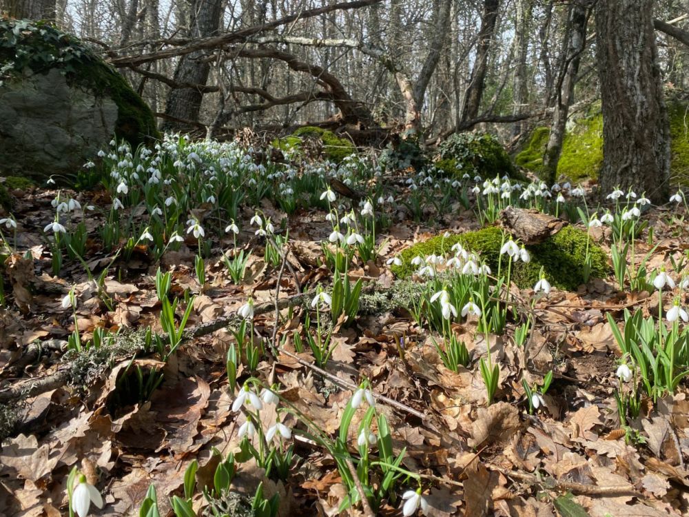 ������� ������ � ����� �� 12 �����