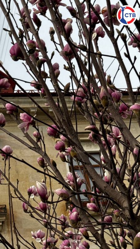 �� ����� ������� ������� ����� �������� ��������