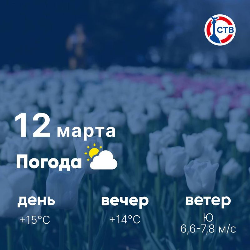 Доброе утро, севастопольцы! Сегодня, 12 марта, в городе солнечно