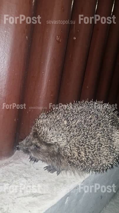 � ������������ ����� � ����������� �������� �������� �� ������ ������