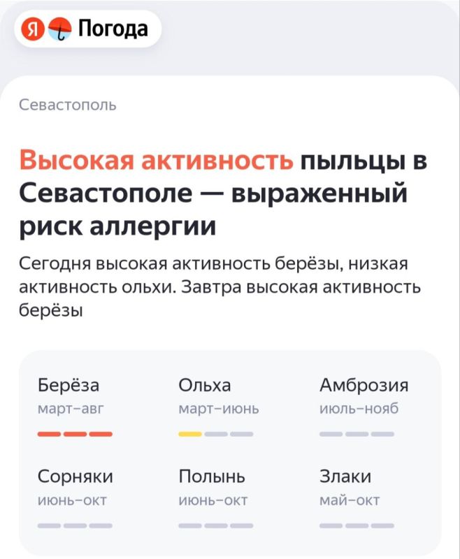 «Яндекс Погода» запустила новый сервис «Активность пыльцы»