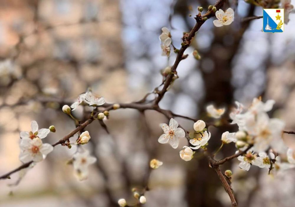 Доброе утро. Сегодня, как и положено в марте, солнце особенно ярко освещает наши улицы, а в воздухе чувствуется долгожданное дыхание весны