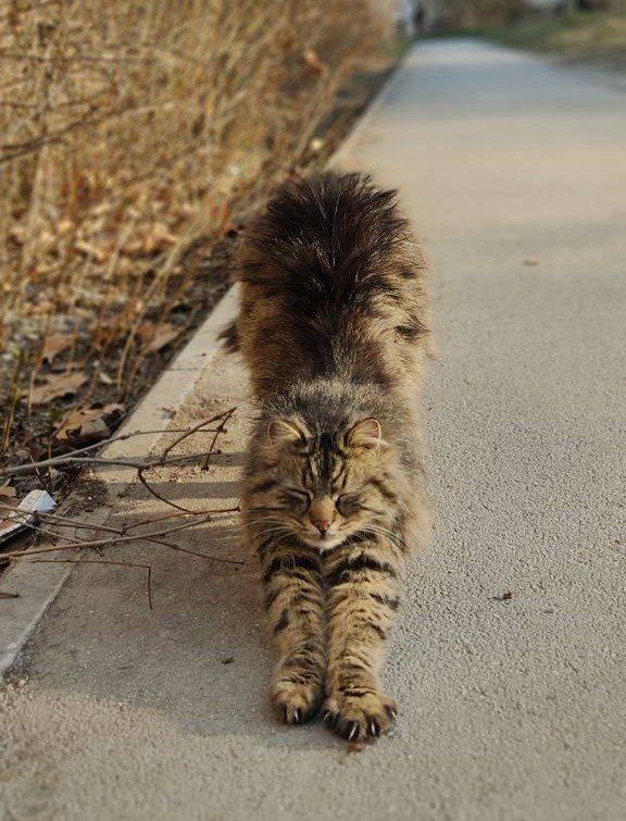 � ������ �����!. �������� ������ � ��� �������. ����� ����� 10-15�/�. ����������� ������� ����� +9...+11��, ���� +14...+16��, � ���� +8��