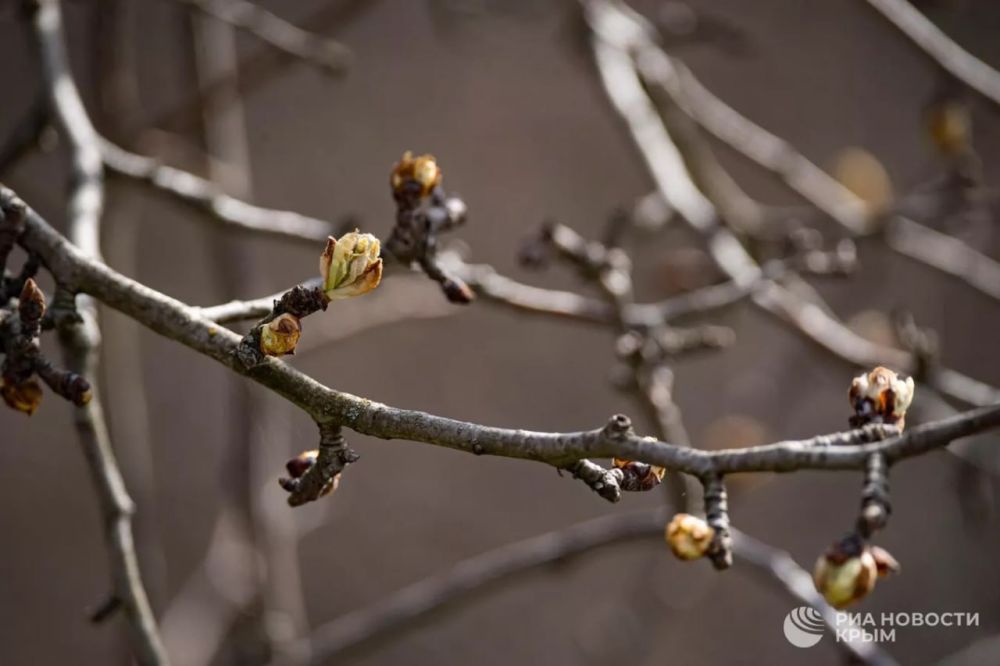 ������� ������ � ����� �� �����