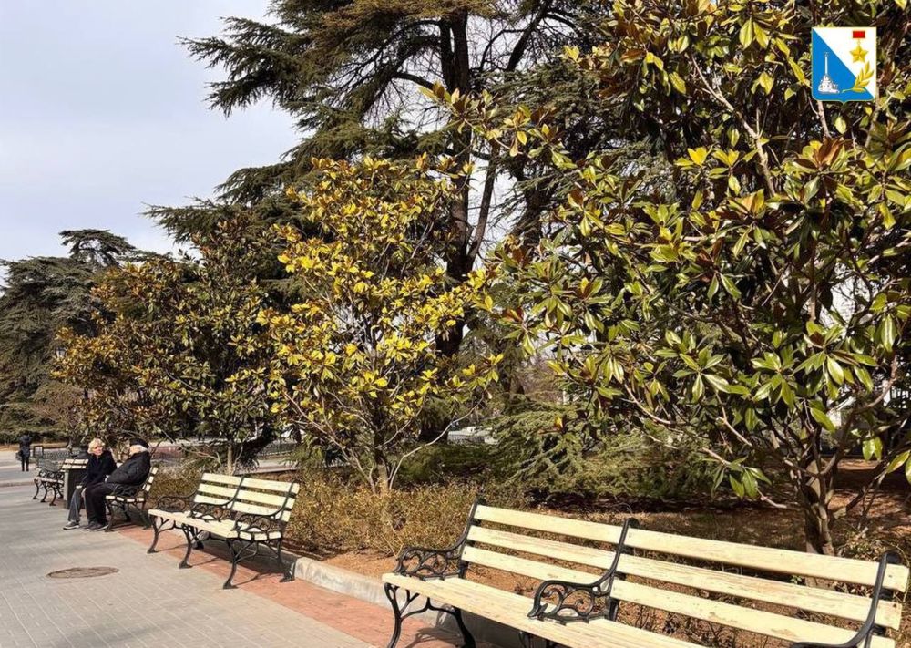 ������ ����. �������, ��� � �������� � �����, ������ �������� ���� �������� ���� �����, � � ������� ����������� ������������ ������� �����