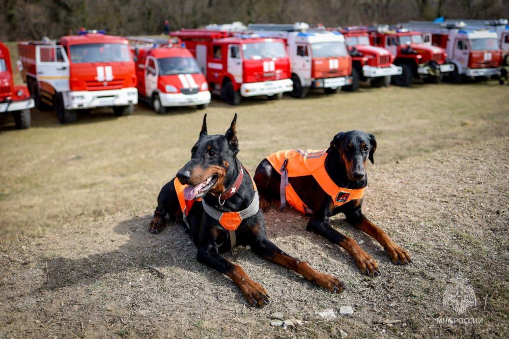 � ����������� ������� ������� ������ �� ������� ������� ������