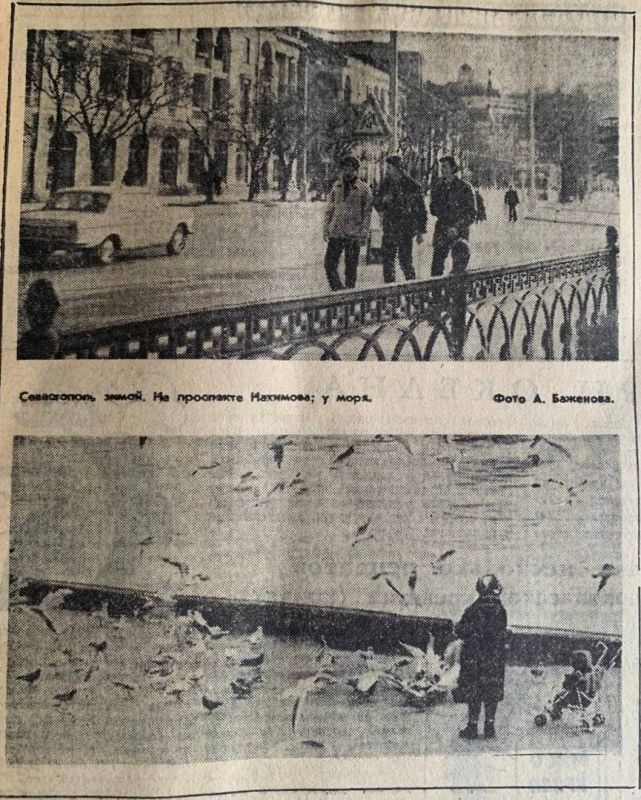 ����������� ����� �� ������� �������� � � ����