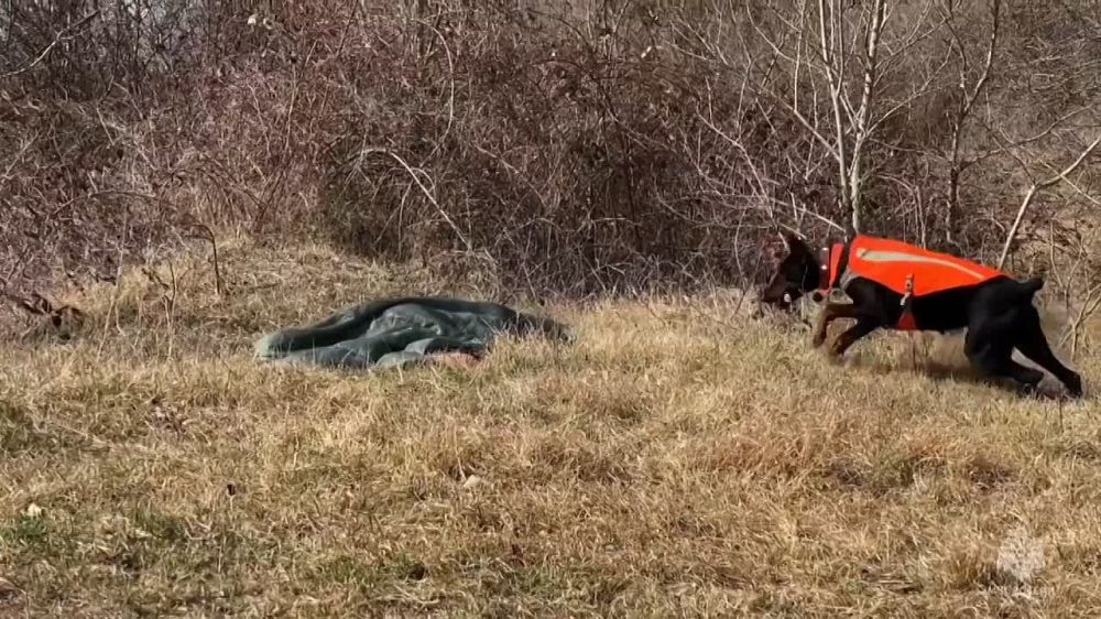 � ����������� ������� ������� ������ �� ������� ������� ������