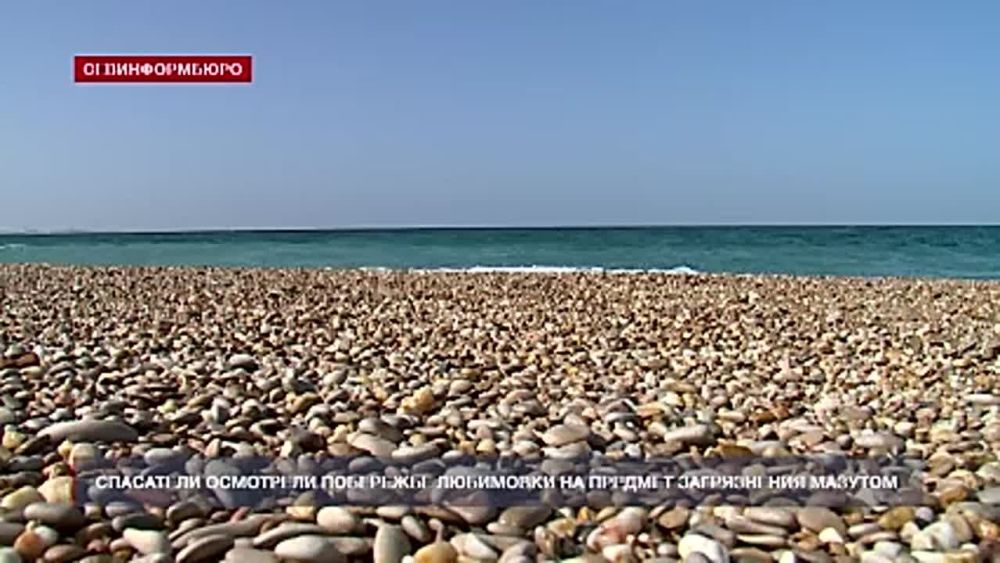 Спасатели подразделения «Север» осмотрели побережье Любимовки на наличие загрязнений мазутом