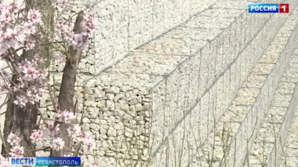 � ����������� ��������� ������������� ��������� ����� �� ��������� ������