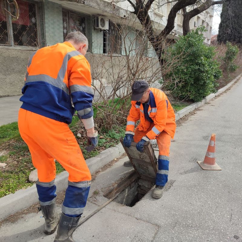 ���������: ������� �������. ���������� �������������� � ������ ������� ��������, ��������� ��������, �� ������ ������������ � ����������������