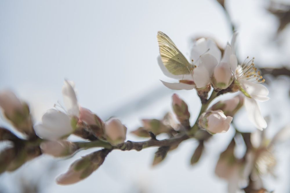 �, ����� ��� ����� � ��� ���� � ��� ����� � ��� ���� �����!