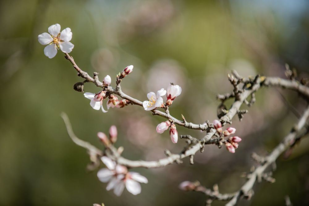 �, ����� ��� ����� � ��� ���� � ��� ����� � ��� ���� �����!