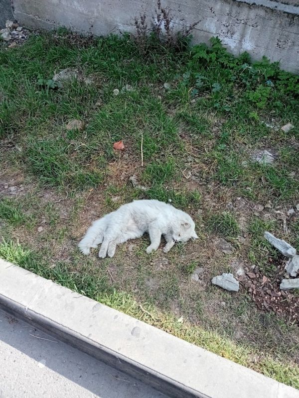 #���_�����. ��������� "�������" - ������ ��� � ������! ��� ���� �����! ����� ������������ ��. �������� ������������, �� ���� � ������� ���������� ����� ������� ����� ��. �������� � ��. ������. �� ����� ������� ����� �����...