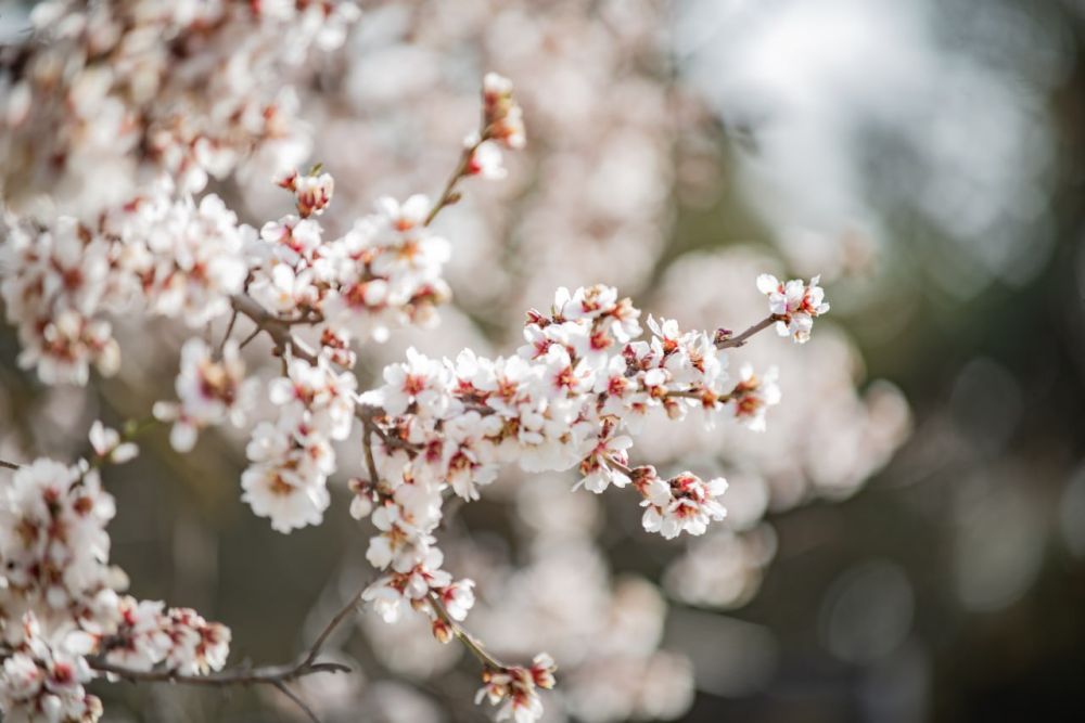 �, ����� ��� ����� � ��� ���� � ��� ����� � ��� ���� �����!