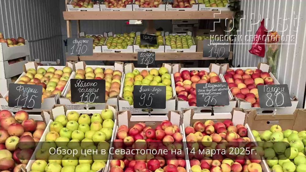 ������������ ������������ ����� ��� � �����������