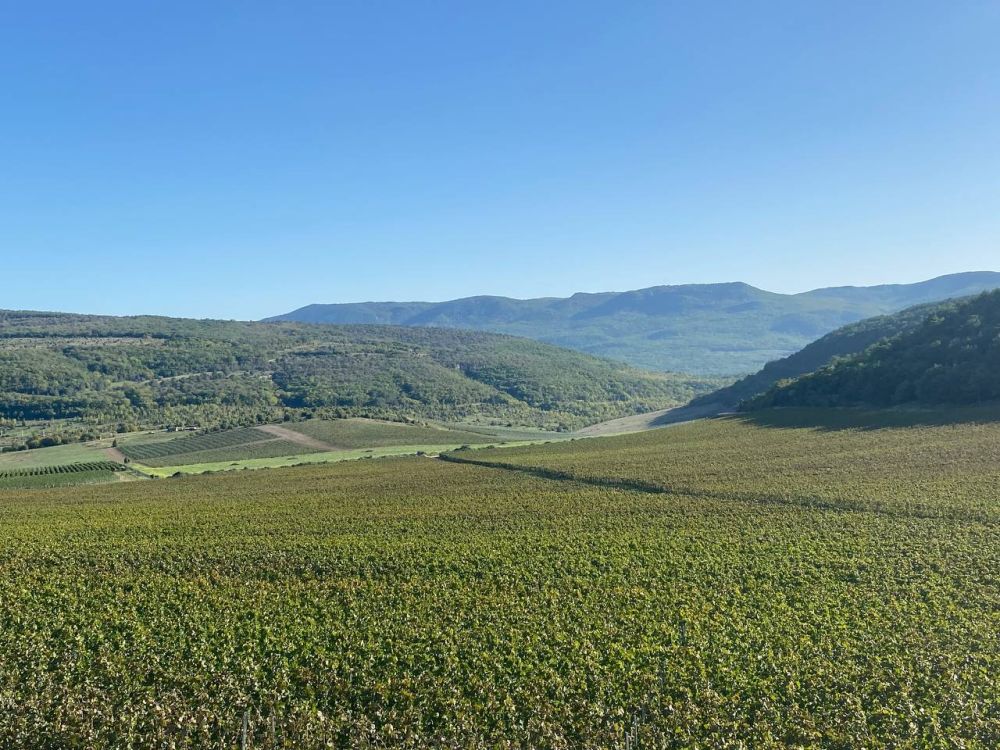 � ����������� ���������� ����������, ��� �������