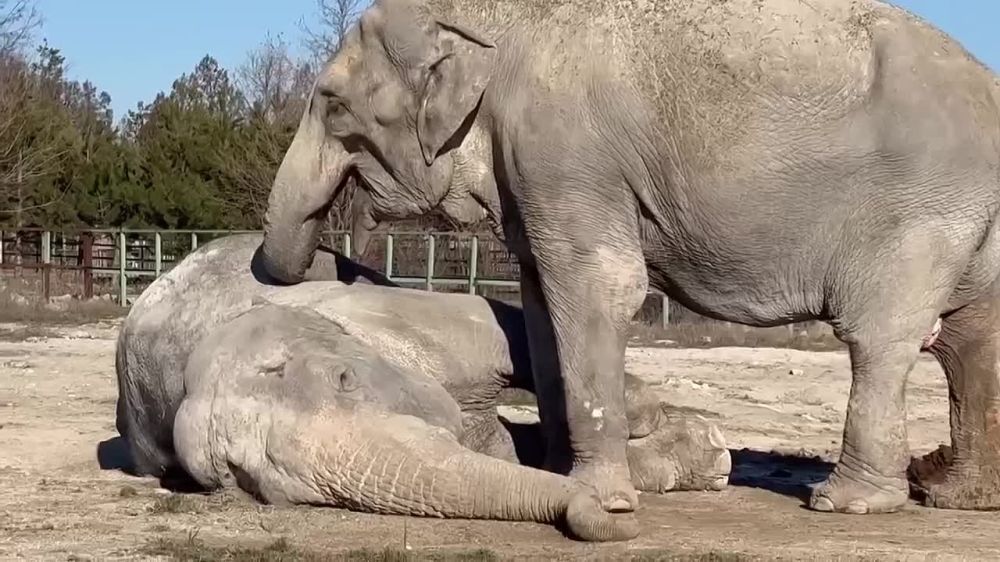 � ���� ��������� ���������� ������������ �����: ������� ����� ��������� �� ����� ������� �������� �����