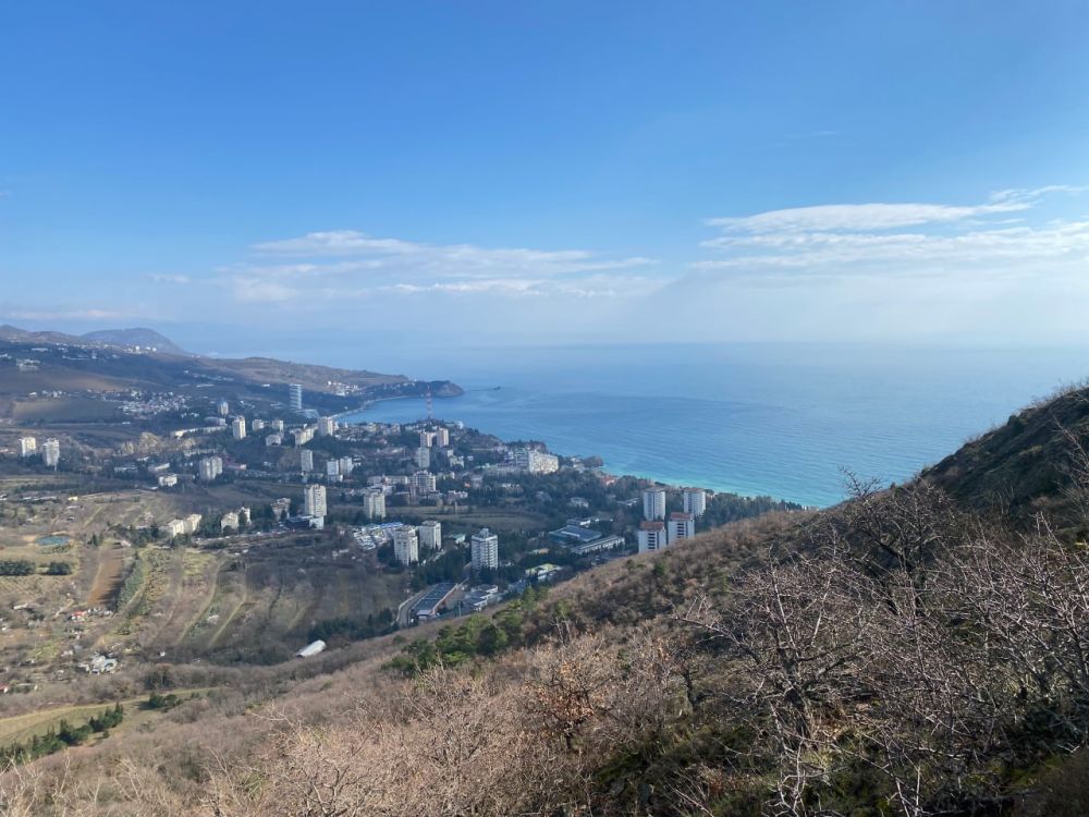 ������� ������ � ����� �� 14 �����