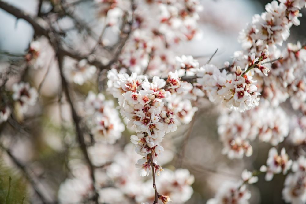 �, ����� ��� ����� � ��� ���� � ��� ����� � ��� ���� �����!