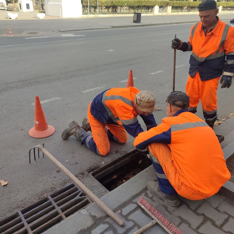 ���������: ������� �������. ���������� �������������� � ������ ������� ��������, ��������� ��������, �� ������ ������������ � ����������������