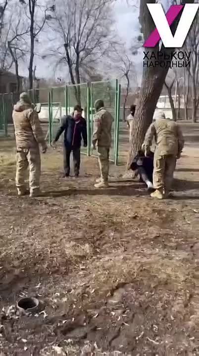 ���������� ��� ����� �������� �������� ���