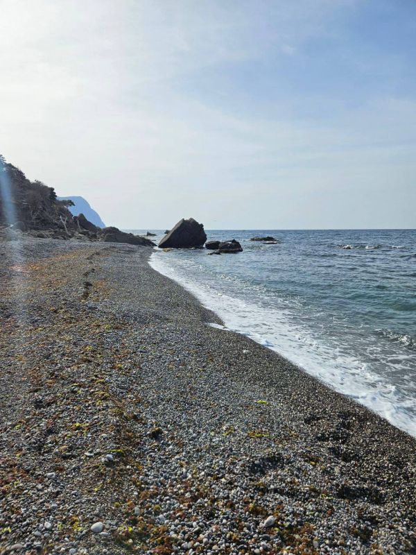 �� ��������� ������ ����������� ��������� �����