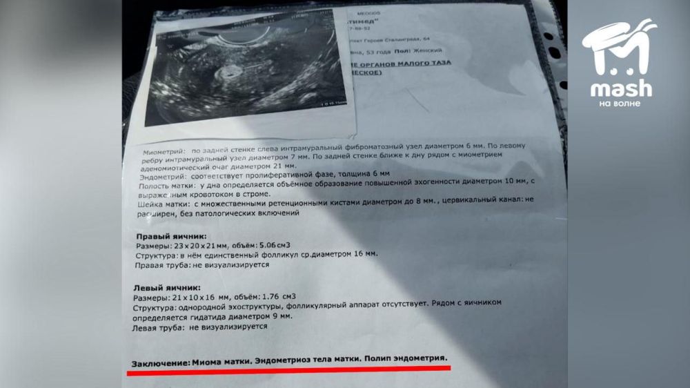 � ������ ��������������� ����������� ������� ������� ���������������, ������� � ����� �������� �� �����