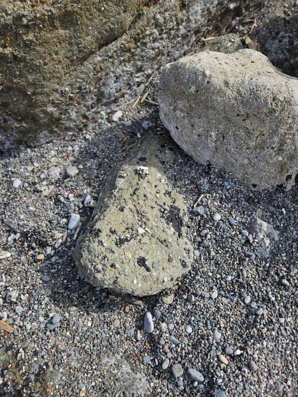 �� ��������� ������ ����������� ��������� �����