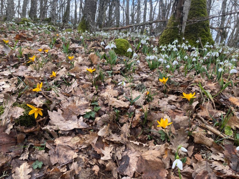 ������� ������ � ����� �� 15 �����