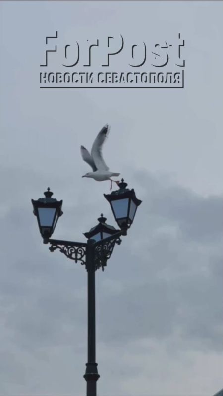 Похолодание в Севастополе немного откладывается, но дождевые тучи так и ходят вокруг