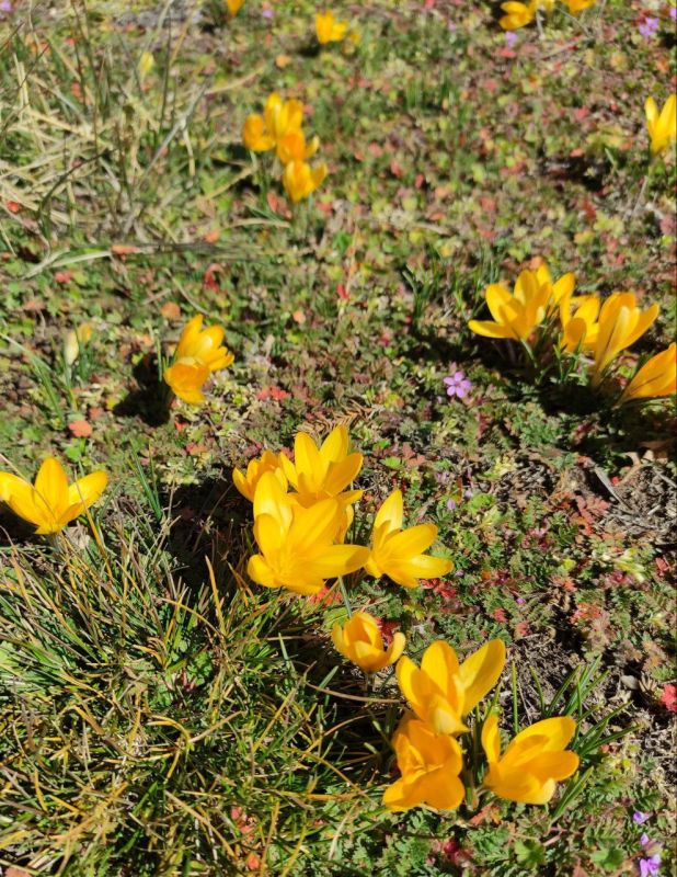 ���� ����� � ��������� ����������!