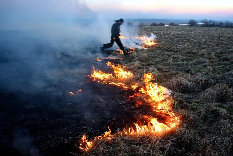 �� ����� � ����������� ��������� ���� ������� - ������ �����