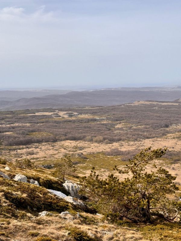 ���� �����������: ����� ���������� �� �����-���! � ������� �����, ������ �������� ���������� 1527 ������ ��� ������� ����, ����������� ����������� ���� �� ����������� ������, �����������, ������ � ����� �� ���� ��������...