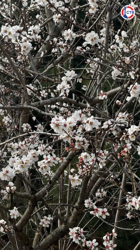 �������� ����������� ���������!