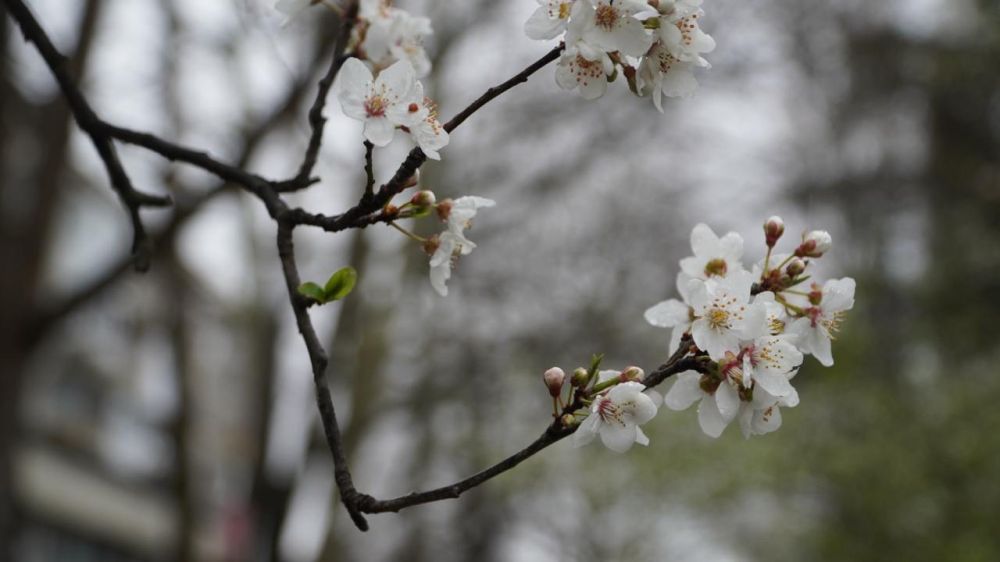 ������� ������ � ����� �� 16 �����