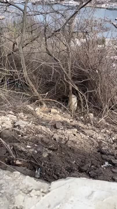 ����� ������� ������������� � ������ ������������ ������� �� ������� ������, ����� ������ �������