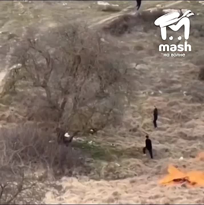 � ����������� ������ ������� ����� ���� ��� �� �����